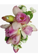 Pink Freesia weddings Flowers